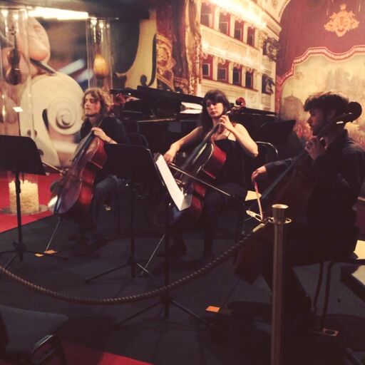 Momento-musicale-al-castello